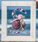The Color Purple - a Shell Mosaic